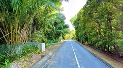 Binjai Park (D21), Detached #594593281